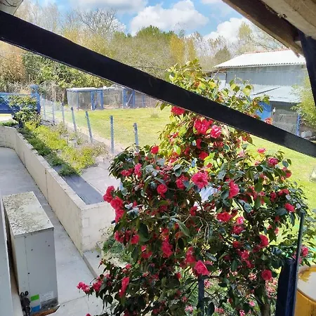 Du Gardoir * Boresse-et-Martron