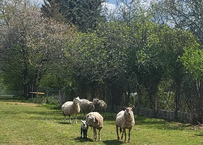 Holiday home Du Gardoir *
