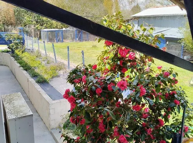 Du Gardoir * Boresse-et-Martron